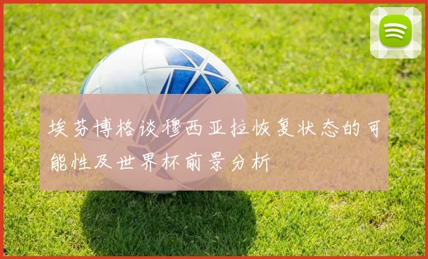 埃芬博格谈穆西亚拉恢复状态的可能性及世界杯前景分析
